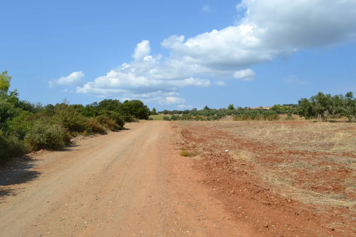οικόπεδο προς πώληση 6616 τ.μ Κασσάνδρα Χαλκιδική