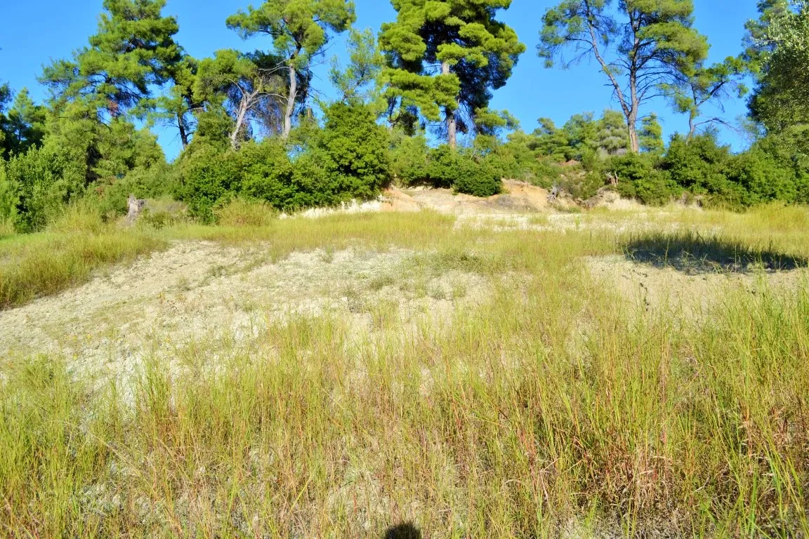 οικόπεδο προς πώληση 5230 τ.μ Κασσάνδρα Χαλκιδική
