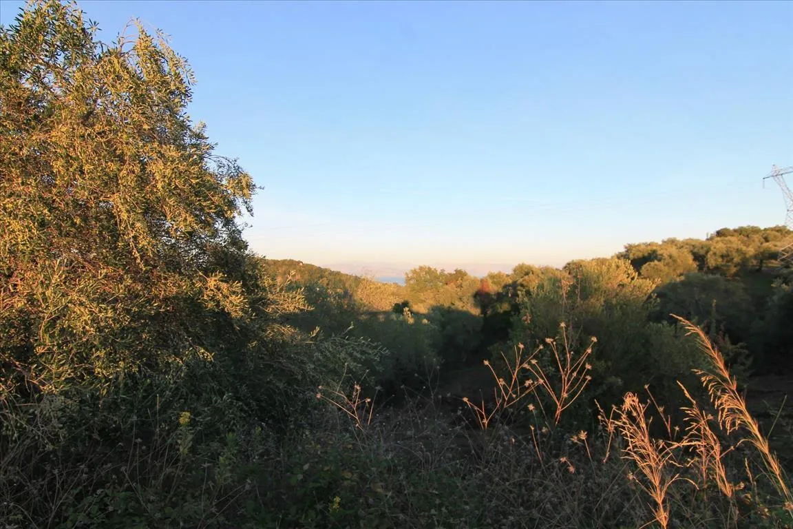 οικόπεδο προς πώληση 5740 τ.μ Κέρκυρα Νομός Κέρκυρας