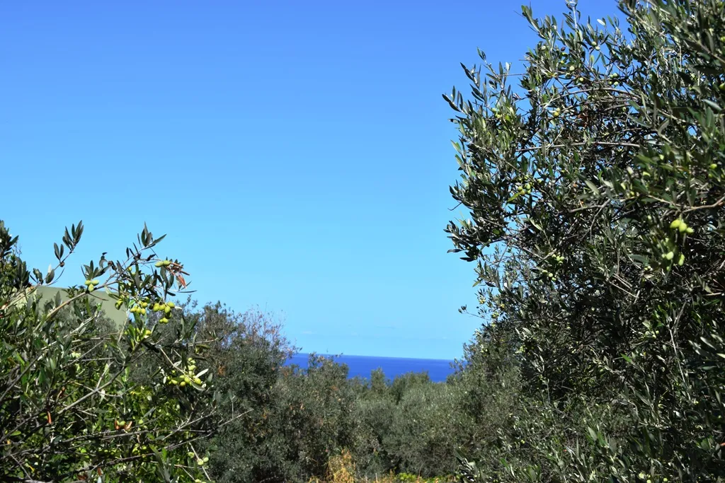 οικόπεδο προς πώληση 2010 τ.μ Πλατανιάς Νομός Χανίων