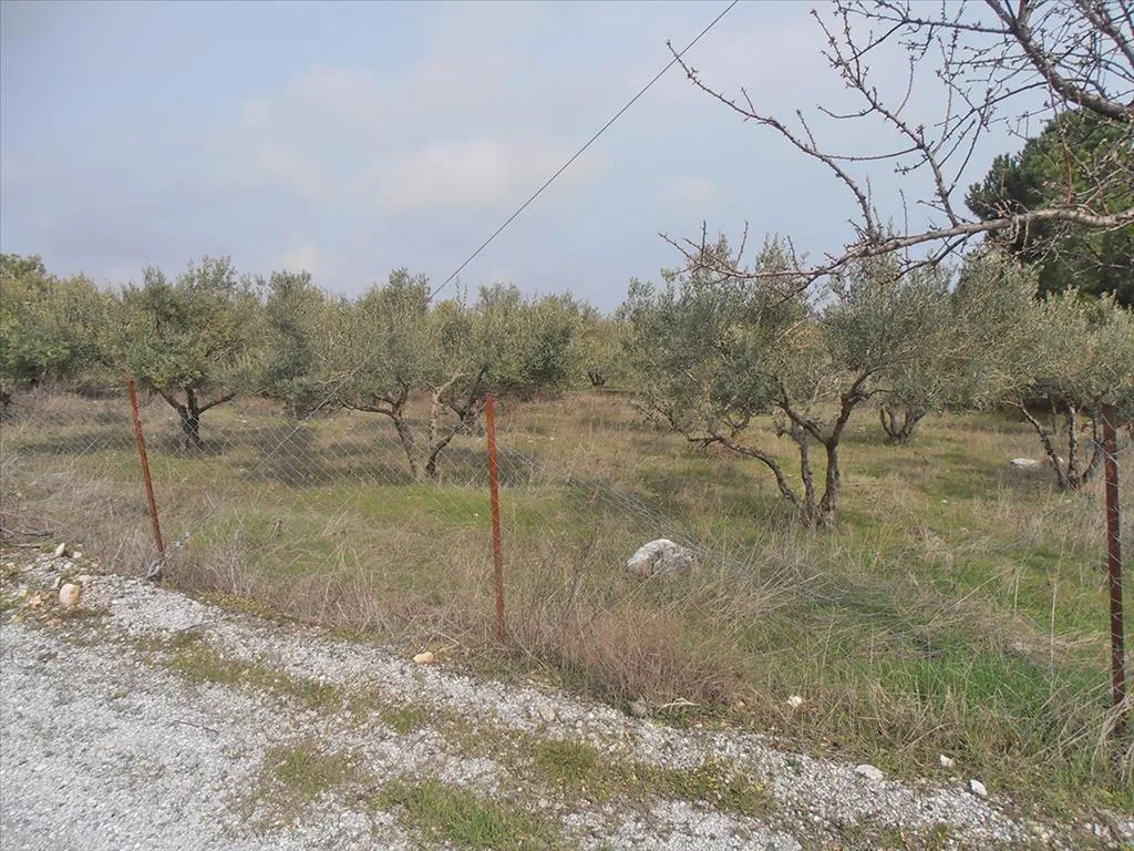 οικόπεδο προς πώληση  τ.μ  Νομός Πιερίας