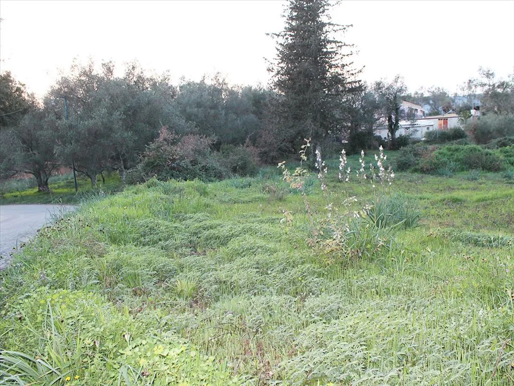 οικόπεδο προς πώληση 5700 τ.μ Κέρκυρα Νομός Κέρκυρας