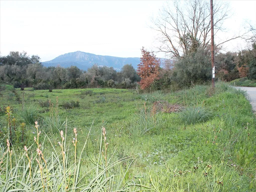 οικόπεδο προς πώληση 5700 τ.μ Κέρκυρα Νομός Κέρκυρας