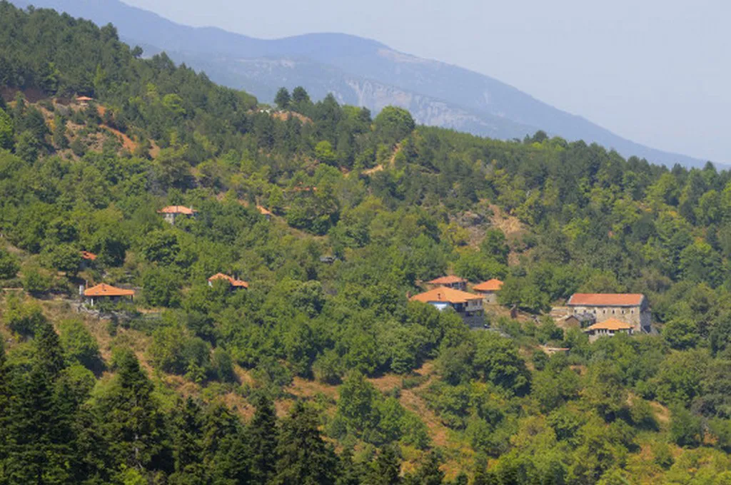 οικόπεδο προς πώληση 2000 τ.μ  Νομός Πιερίας