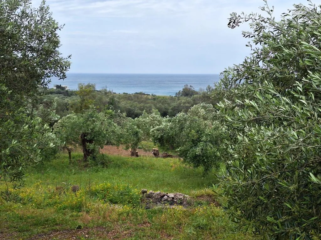 οικόπεδο προς πώληση 7000 τ.μ Κέρκυρα Νομός Κέρκυρας