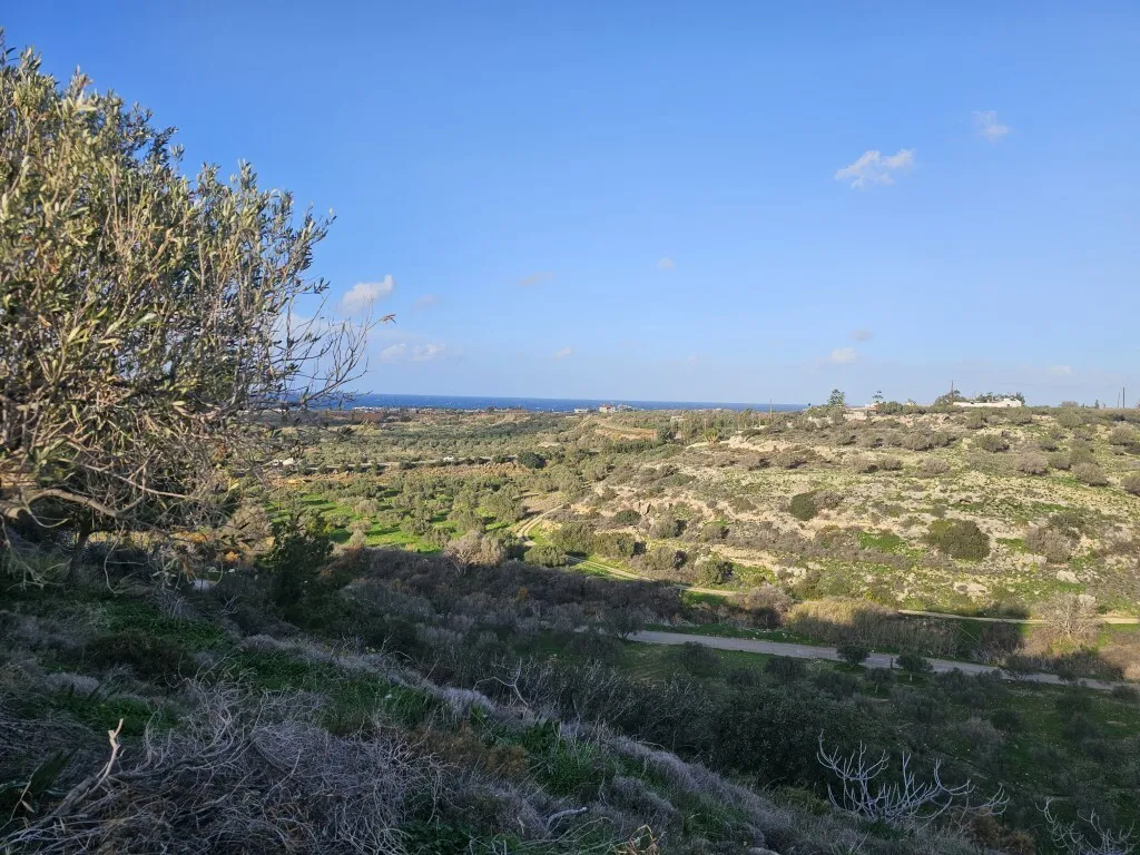 οικόπεδο προς πώληση 5000 τ.μ Γούβες Νομός Ηρακλείου
