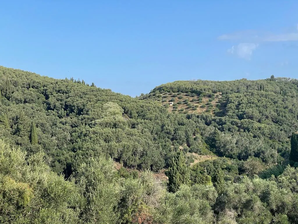 οικόπεδο προς πώληση 30000 τ.μ Κέρκυρα Νομός Κέρκυρας