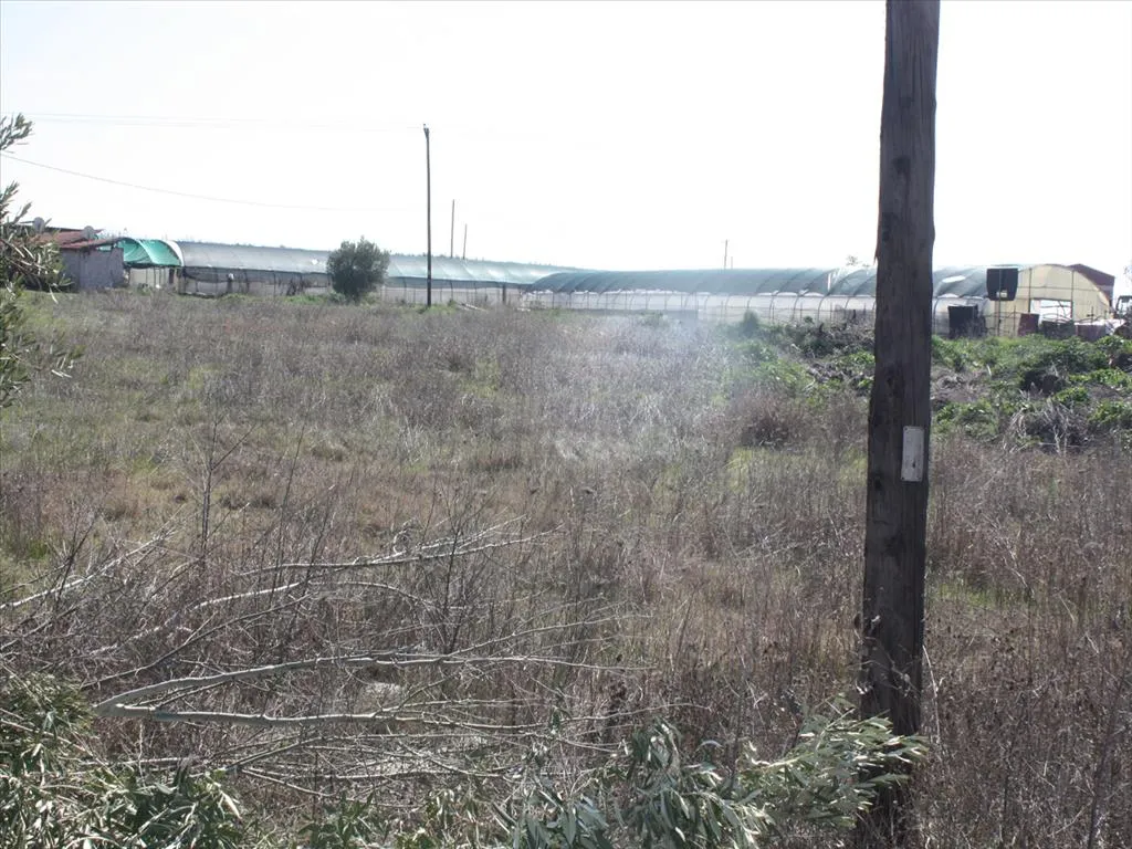 οικόπεδο προς πώληση 8880 τ.μ Νέα Προποντίδα Χαλκιδική