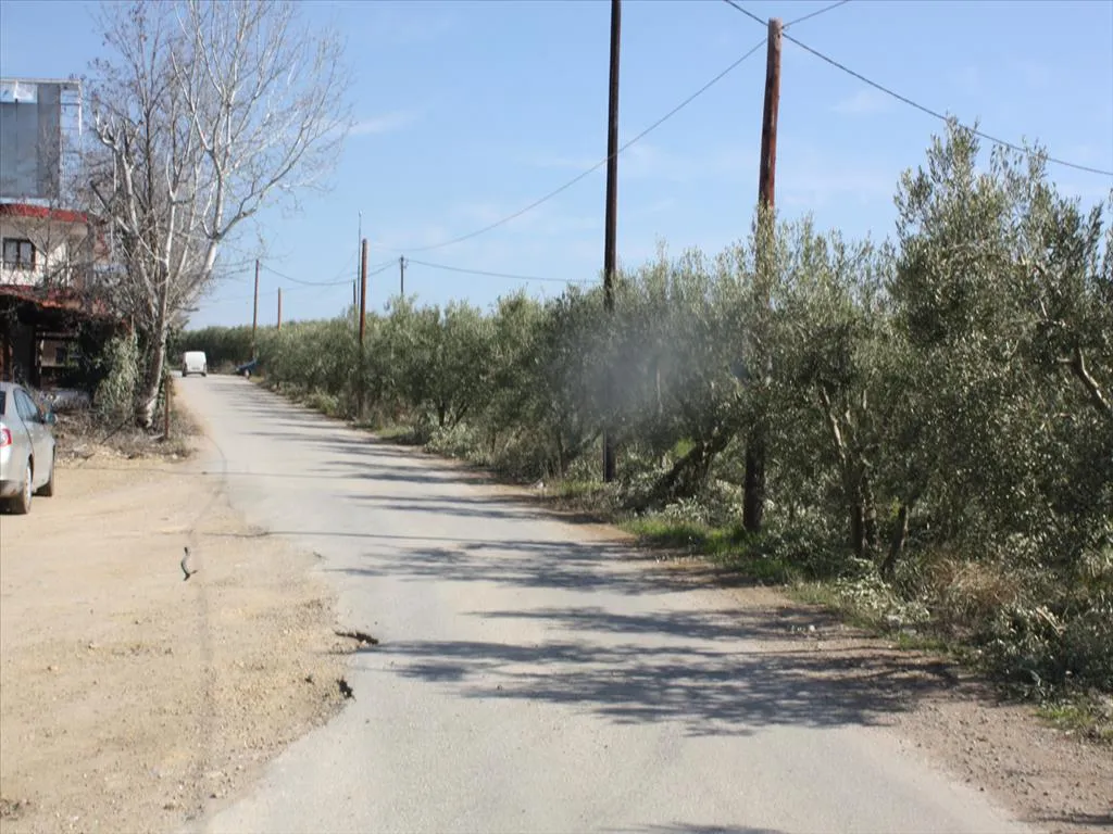οικόπεδο προς πώληση 8880 τ.μ Νέα Προποντίδα Χαλκιδική