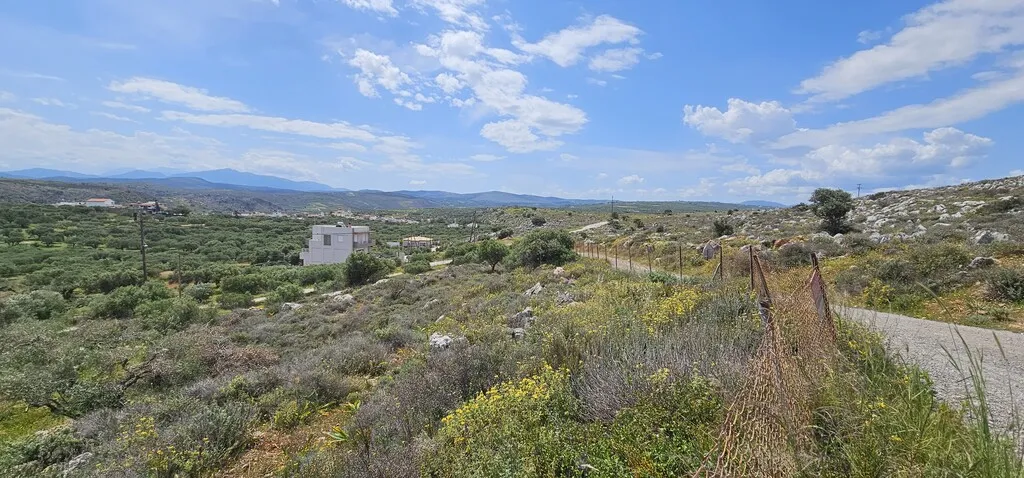 οικόπεδο προς πώληση 2600 τ.μ Γούβες Νομός Ηρακλείου