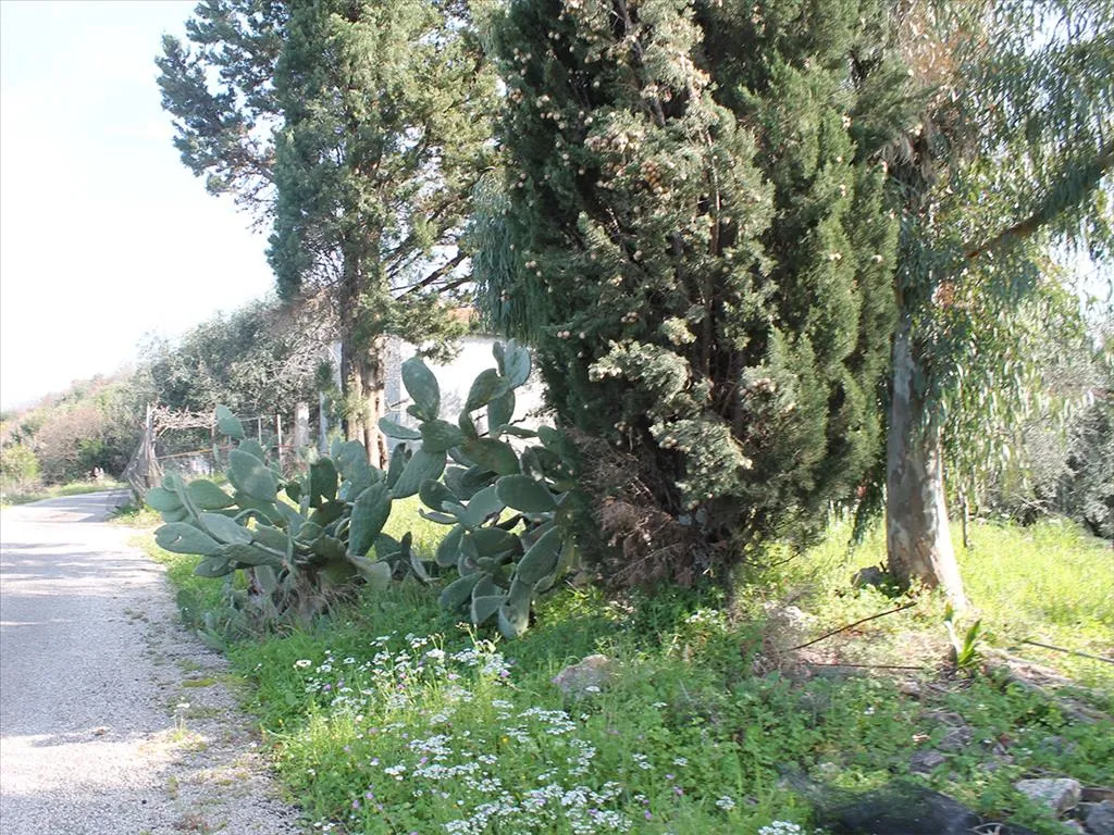 οικόπεδο προς πώληση 4972 τ.μ Κέρκυρα Νομός Κέρκυρας