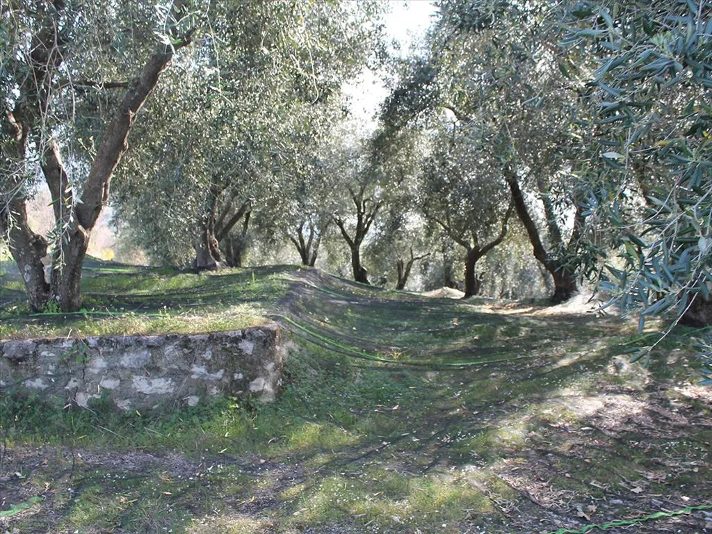 οικόπεδο προς πώληση 4972 τ.μ Κέρκυρα Νομός Κέρκυρας