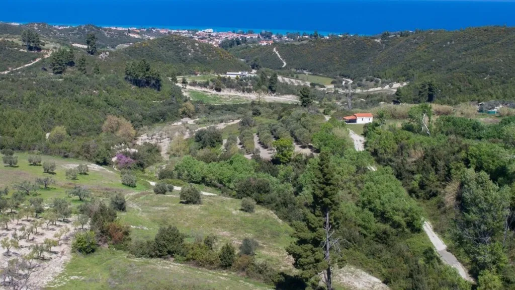οικόπεδο προς πώληση 6080 τ.μ Κασσάνδρα Χαλκιδική