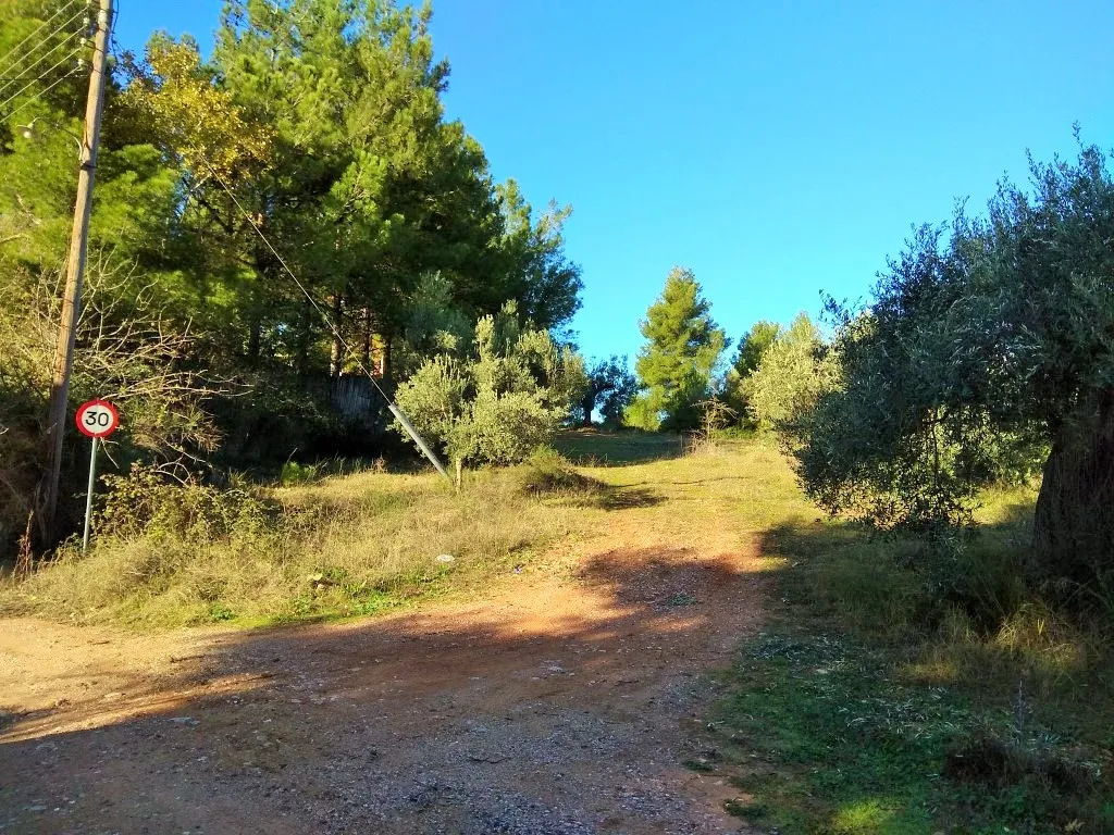 οικόπεδο προς πώληση 1300 τ.μ Σιθωνία Χαλκιδική