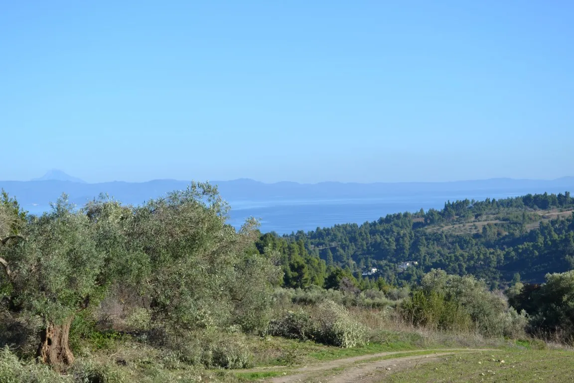 οικόπεδο προς πώληση 11738 τ.μ Κασσάνδρα Χαλκιδική