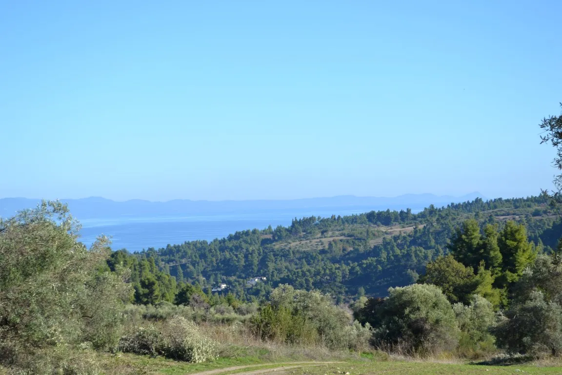 οικόπεδο προς πώληση 11738 τ.μ Κασσάνδρα Χαλκιδική