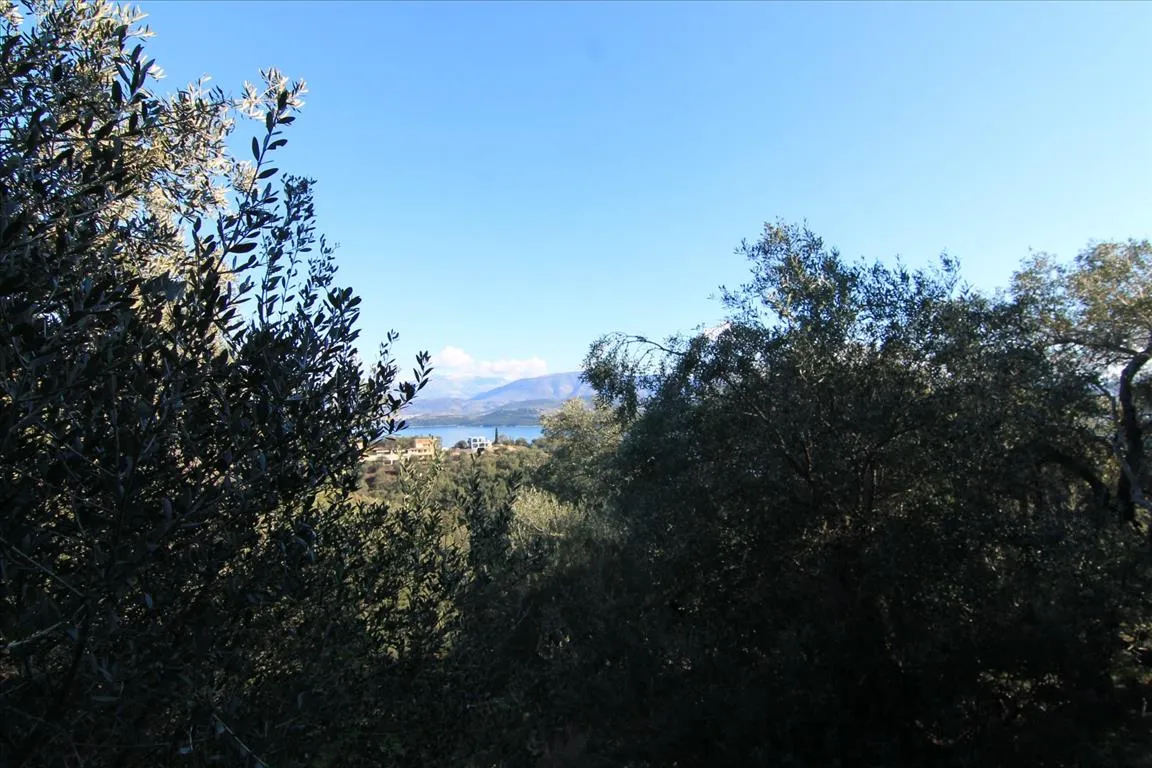 οικόπεδο προς πώληση 4000 τ.μ Κέρκυρα Νομός Κέρκυρας
