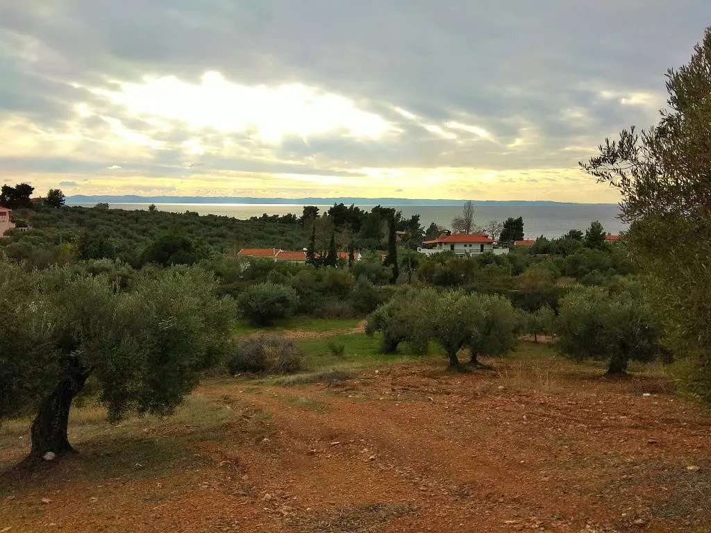 οικόπεδο προς πώληση 6460 τ.μ Σιθωνία Χαλκιδική