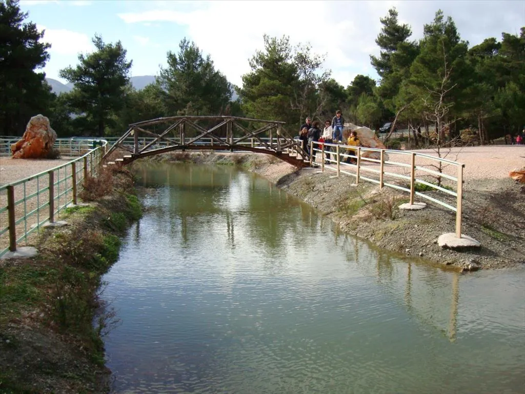 οικόπεδο προς πώληση 2430 τ.μ Αφίδνες Υπόλοιπη Αττικής