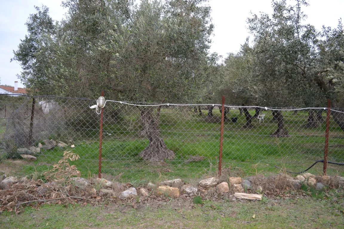 οικόπεδο προς πώληση 400 τ.μ Πολύγυρος Χαλκιδική