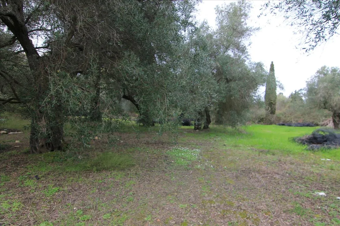 οικόπεδο προς πώληση 6400 τ.μ Κέρκυρα Νομός Κέρκυρας
