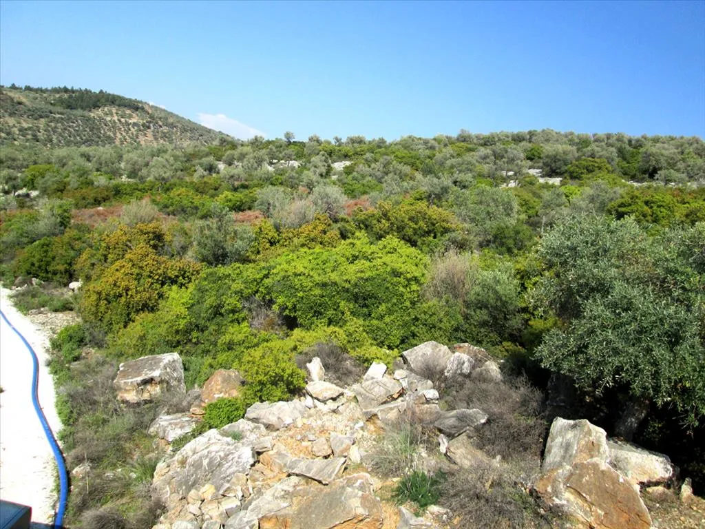 οικόπεδο προς πώληση 9200 τ.μ Θάσος Νομός Καβάλας