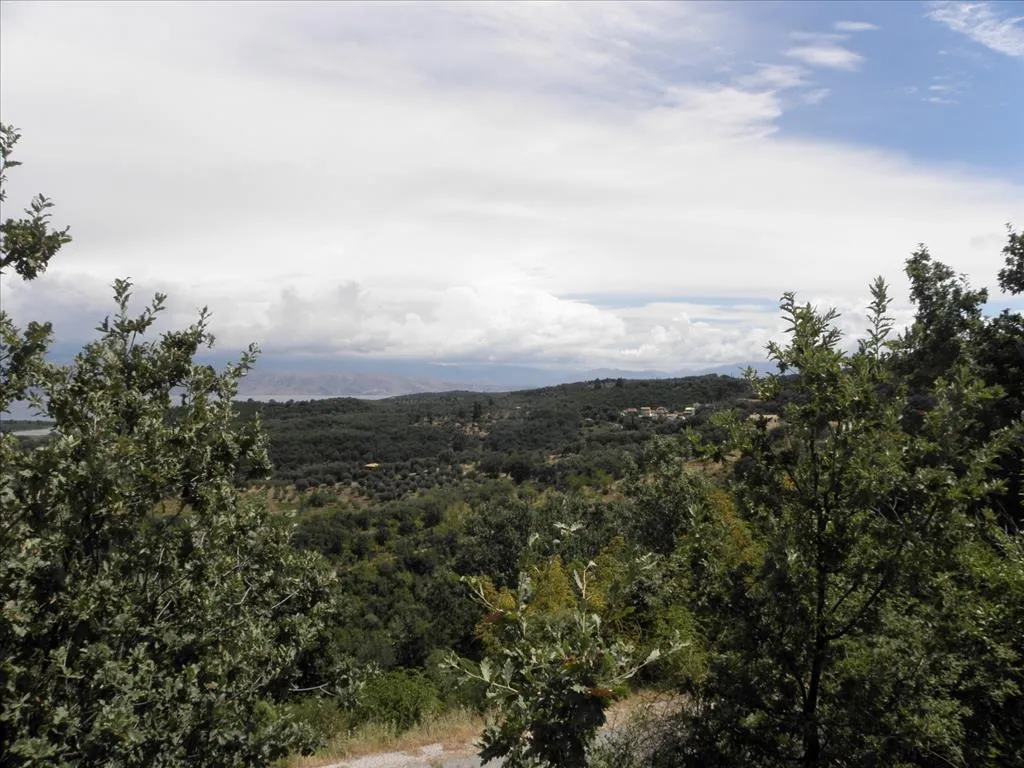 οικόπεδο προς πώληση 15000 τ.μ Κέρκυρα Νομός Κέρκυρας