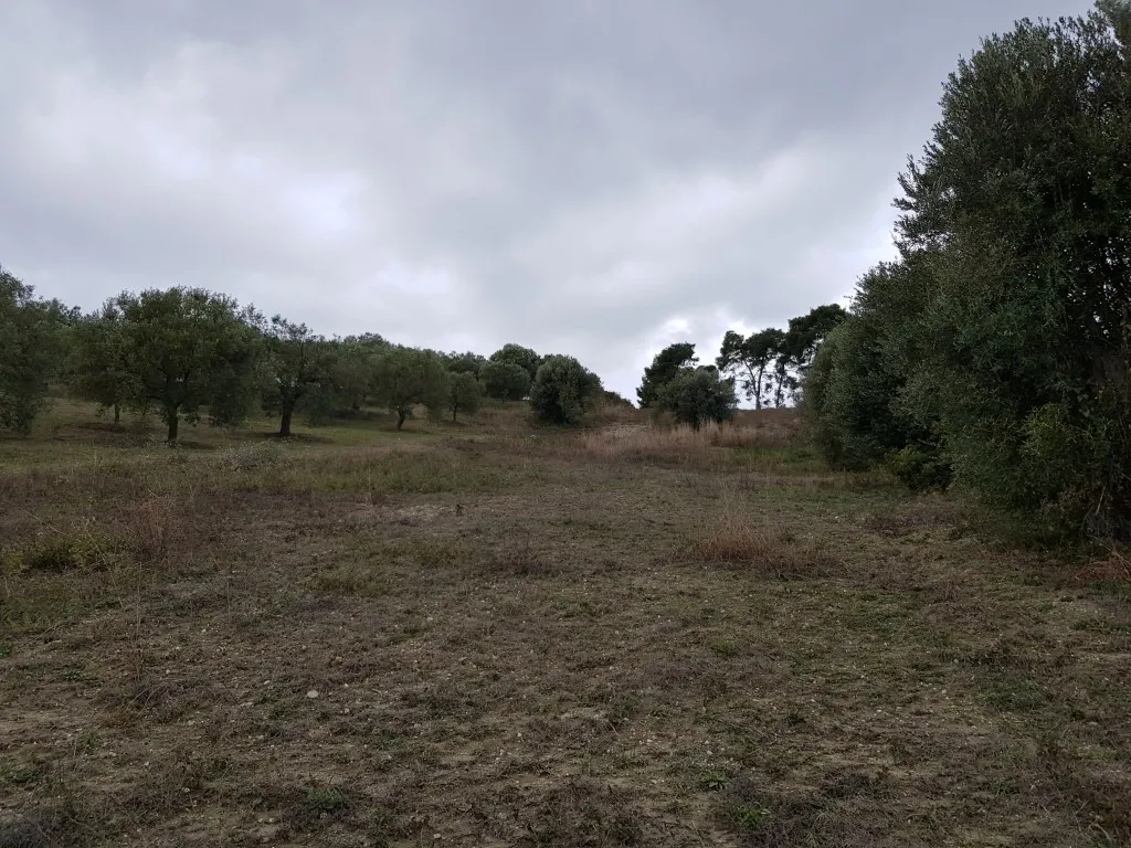 οικόπεδο προς πώληση 4143 τ.μ Κασσάνδρα Χαλκιδική