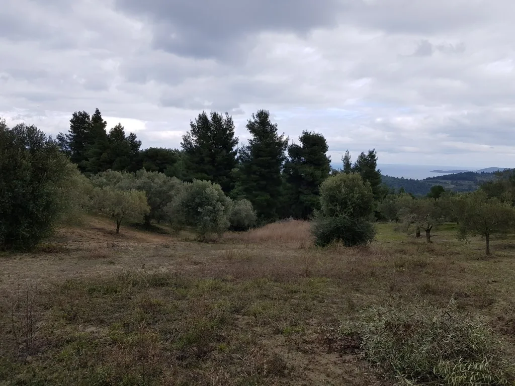 οικόπεδο προς πώληση 4143 τ.μ Κασσάνδρα Χαλκιδική