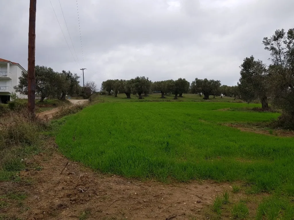 οικόπεδο προς πώληση 4000 τ.μ Κασσάνδρα Χαλκιδική