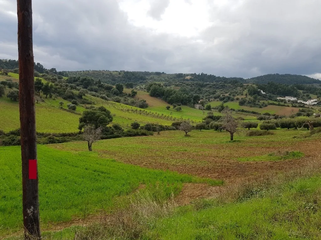 οικόπεδο προς πώληση 6000 τ.μ Κασσάνδρα Χαλκιδική