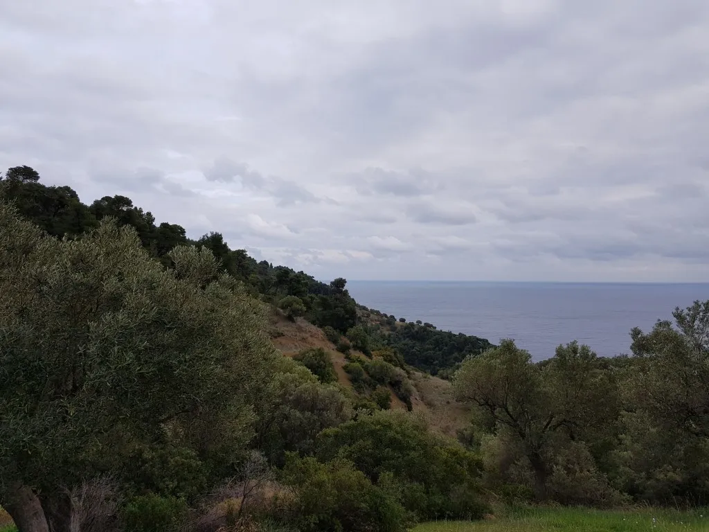 οικόπεδο προς πώληση 6000 τ.μ Κασσάνδρα Χαλκιδική