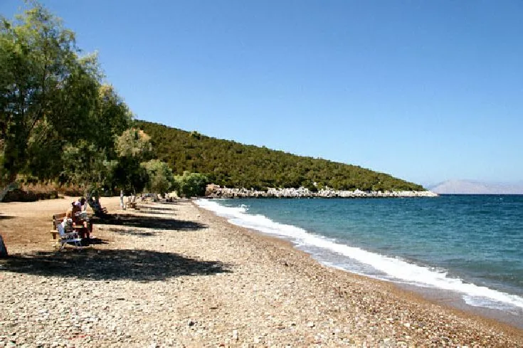 οικόπεδο προς πώληση 9200 τ.μ Βίλια Υπόλοιπη Αττικής