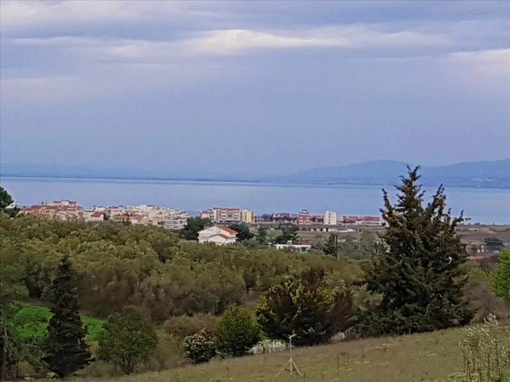 οικόπεδο προς πώληση 12000 τ.μ Μίκρα Προάστια Θεσσαλονίκης