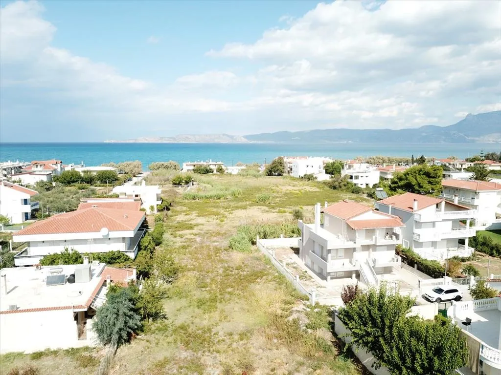 οικόπεδο προς πώληση 18445 τ.μ Άσσος-Λέχαιο Κορινθία