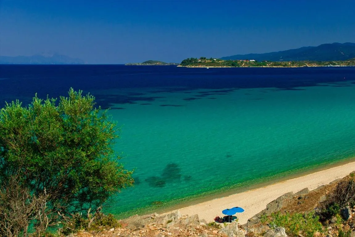 οικόπεδο προς πώληση 14300 τ.μ Αριστοτέλης Χαλκιδική