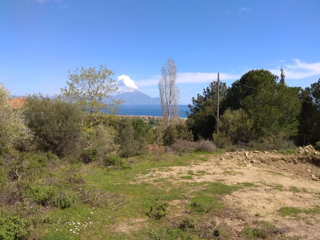 οικόπεδο προς πώληση 10000 τ.μ Σιθωνία Χαλκιδική