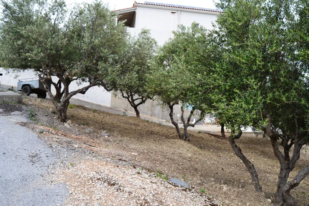 οικόπεδο προς πώληση 3020 τ.μ Αρχάνες Νομός Ηρακλείου