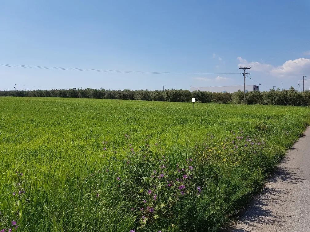 οικόπεδο προς πώληση 16856 τ.μ Νέα Προποντίδα Χαλκιδική