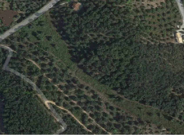οικόπεδο προς πώληση 8000 τ.μ Κέρκυρα Νομός Κέρκυρας