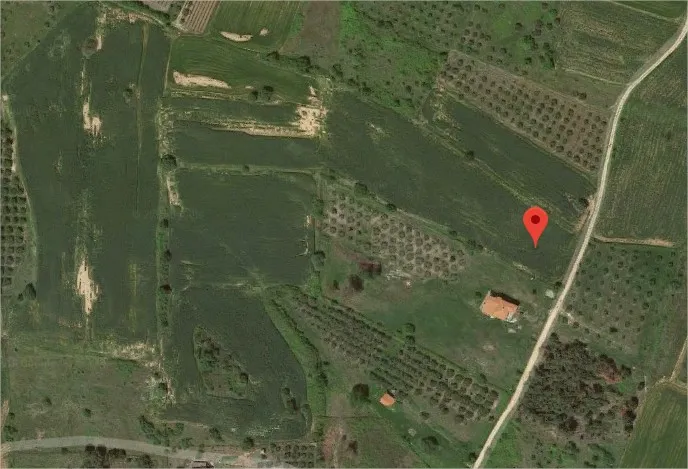 οικόπεδο προς πώληση 9800 τ.μ Αριστοτέλης Χαλκιδική