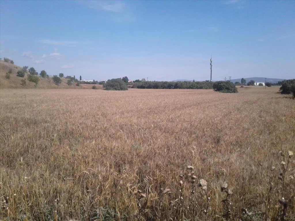 οικόπεδο προς πώληση 15000 τ.μ Πυλαία Προάστια Θεσσαλονίκης