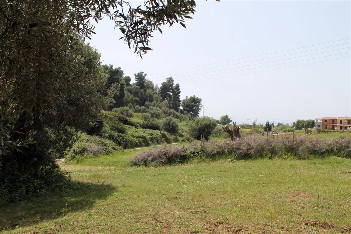 οικόπεδο προς πώληση 6000 τ.μ Κασσάνδρα Χαλκιδική