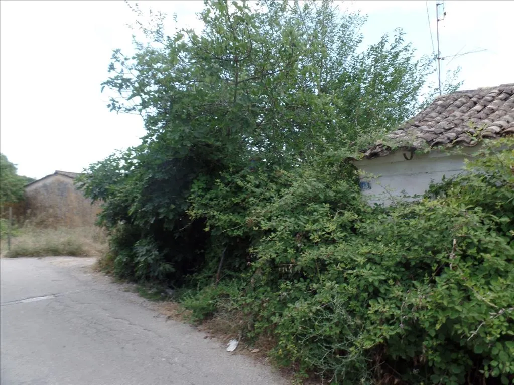 οικόπεδο προς πώληση 7000 τ.μ Κέρκυρα Νομός Κέρκυρας