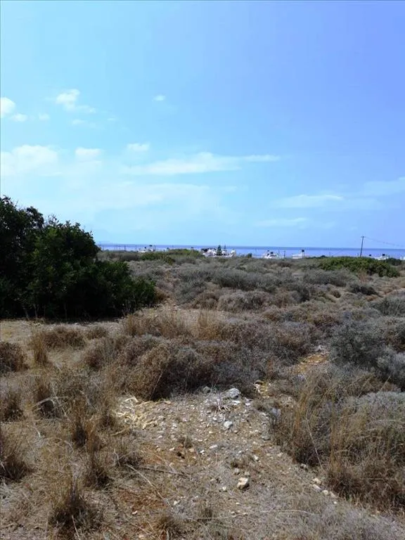 οικόπεδο προς πώληση 6691 τ.μ Νεάπολη Νομός Λασιθίου