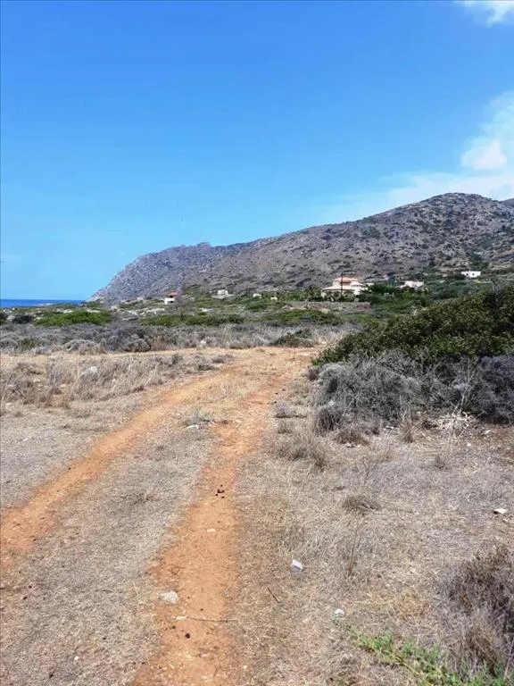 οικόπεδο προς πώληση 6691 τ.μ Νεάπολη Νομός Λασιθίου