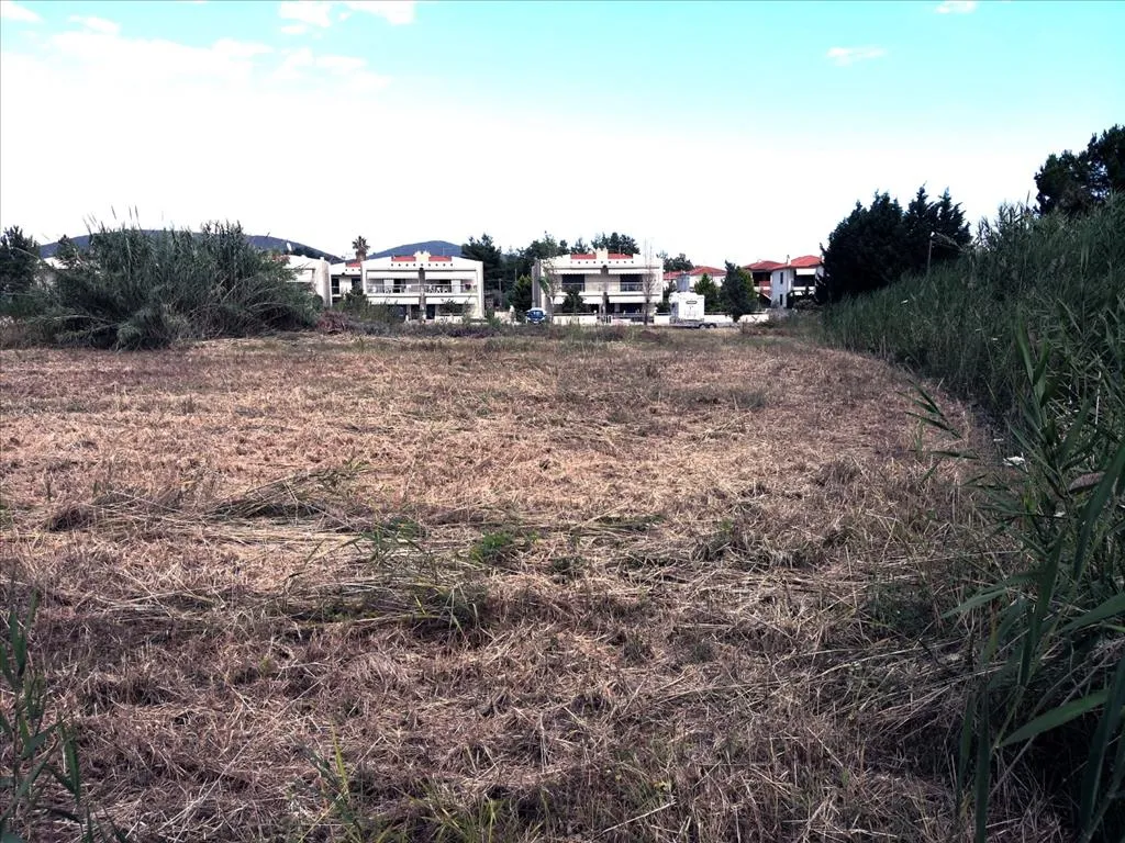 οικόπεδο προς πώληση 7135 τ.μ Πολύγυρος Χαλκιδική