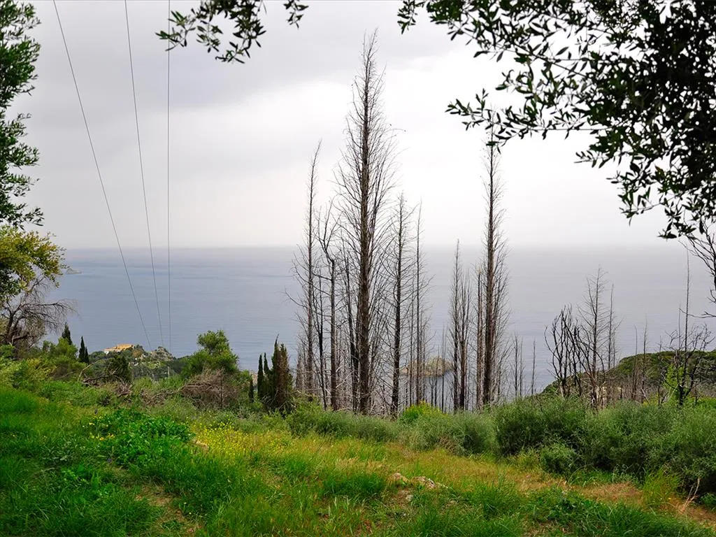 οικόπεδο προς πώληση 2500 τ.μ Κέρκυρα Νομός Κέρκυρας