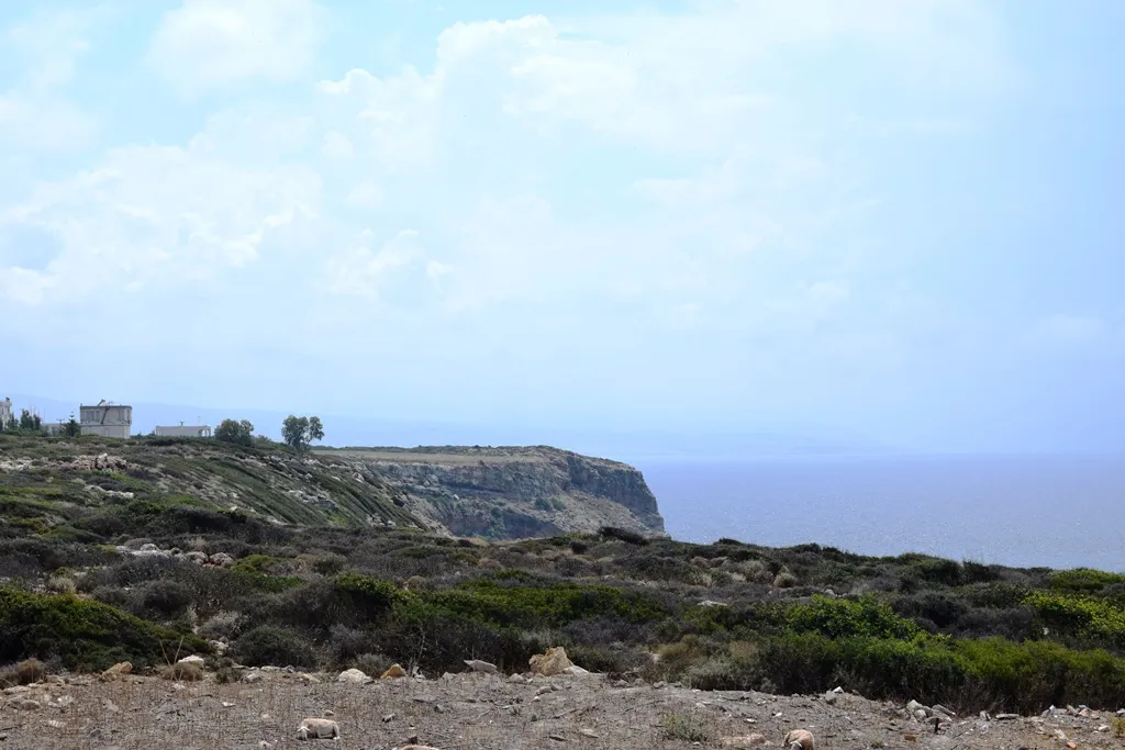 οικόπεδο προς πώληση 15000 τ.μ Ρέθυμνο Νομός Ρεθύμνου