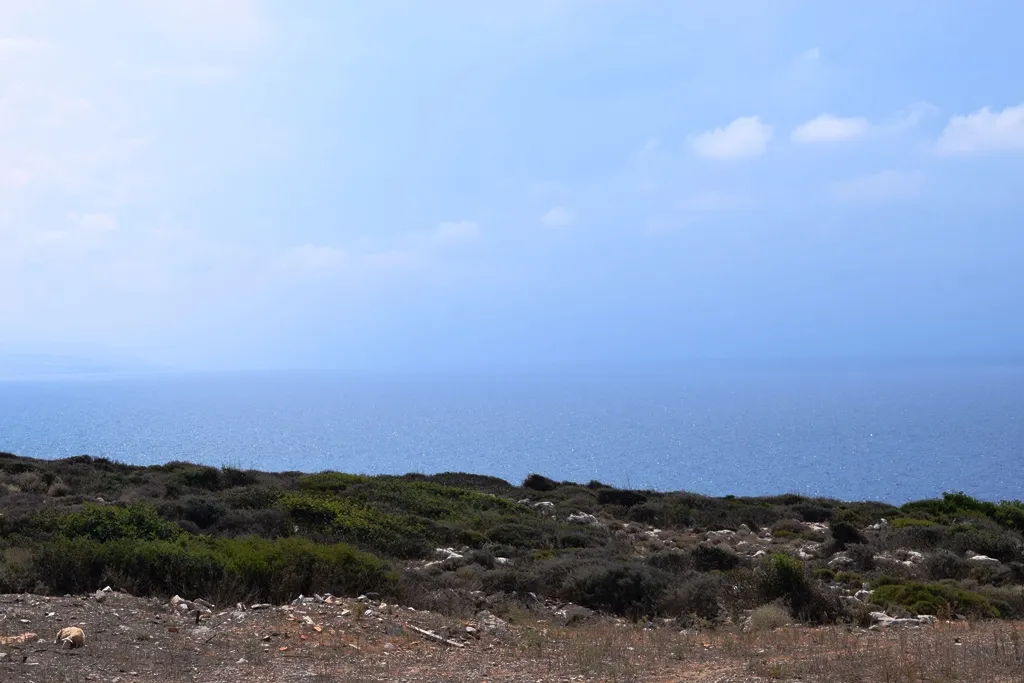 οικόπεδο προς πώληση 15000 τ.μ Ρέθυμνο Νομός Ρεθύμνου
